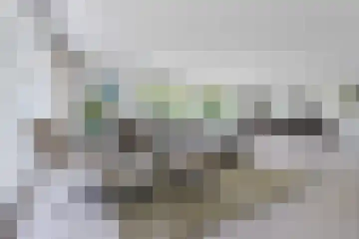 Hamersweg 20 B Ter Idzard thumbnail 4