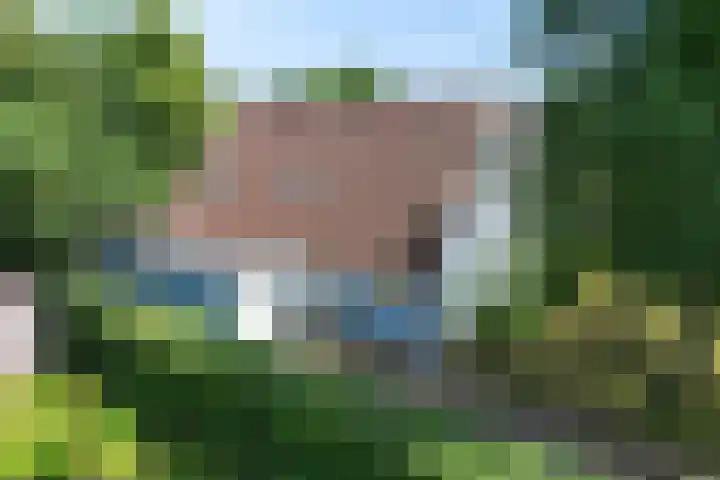 Hamersweg 20 B Ter Idzard thumbnail 40