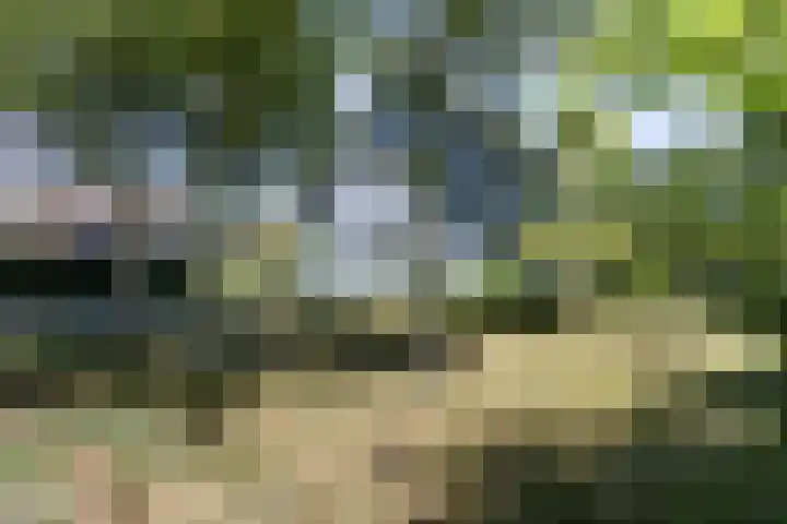 Hamersweg 20 B Ter Idzard thumbnail 41