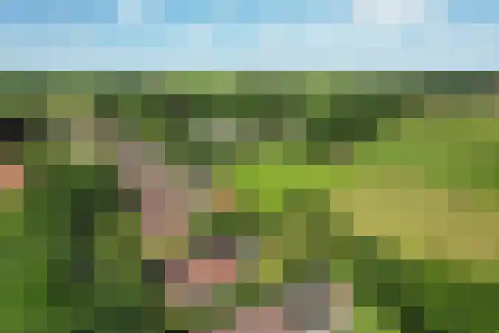 Hamersweg 20 B Ter Idzard thumbnail 43