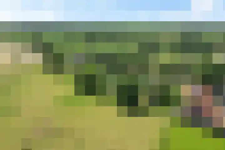 Hamersweg 20 B Ter Idzard thumbnail 44
