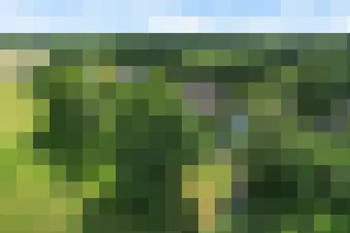 Hamersweg 20 B Ter Idzard thumbnail 45