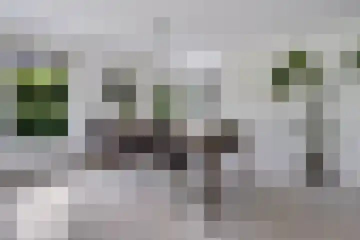 Hamersweg 20 B Ter Idzard thumbnail 7