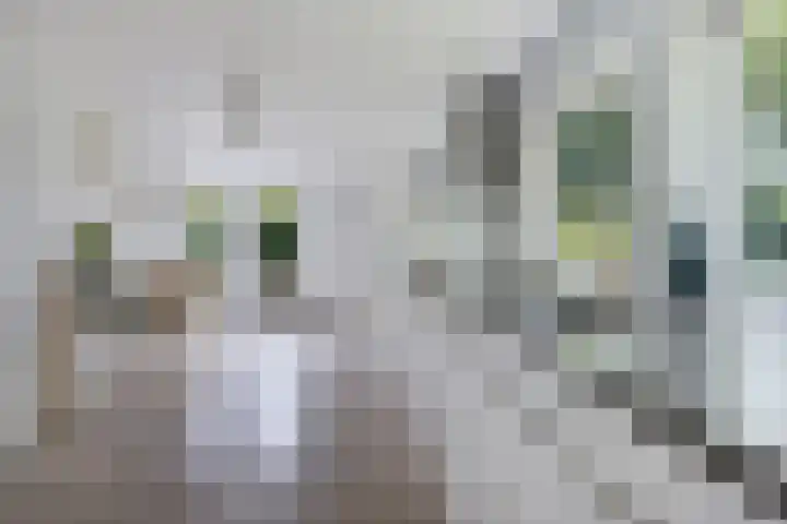 Hamersweg 20 B Ter Idzard thumbnail 9