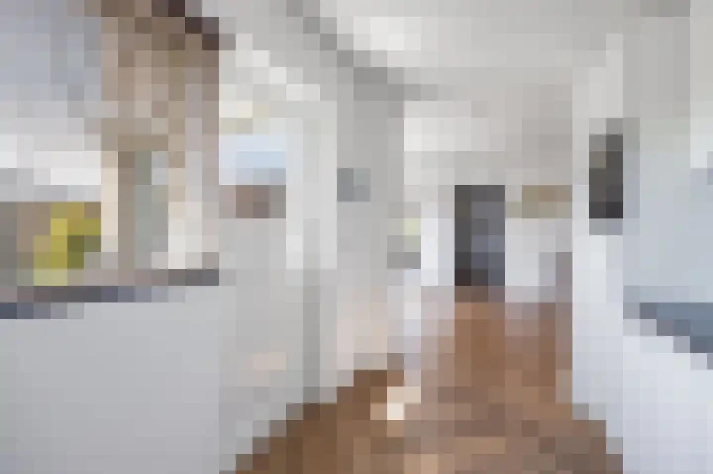 Hamiltonstraat 2 Etten-Leur thumbnail 16