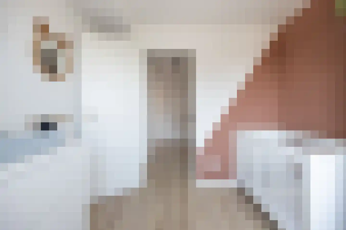 Hamiltonstraat 2 Etten-Leur thumbnail 24