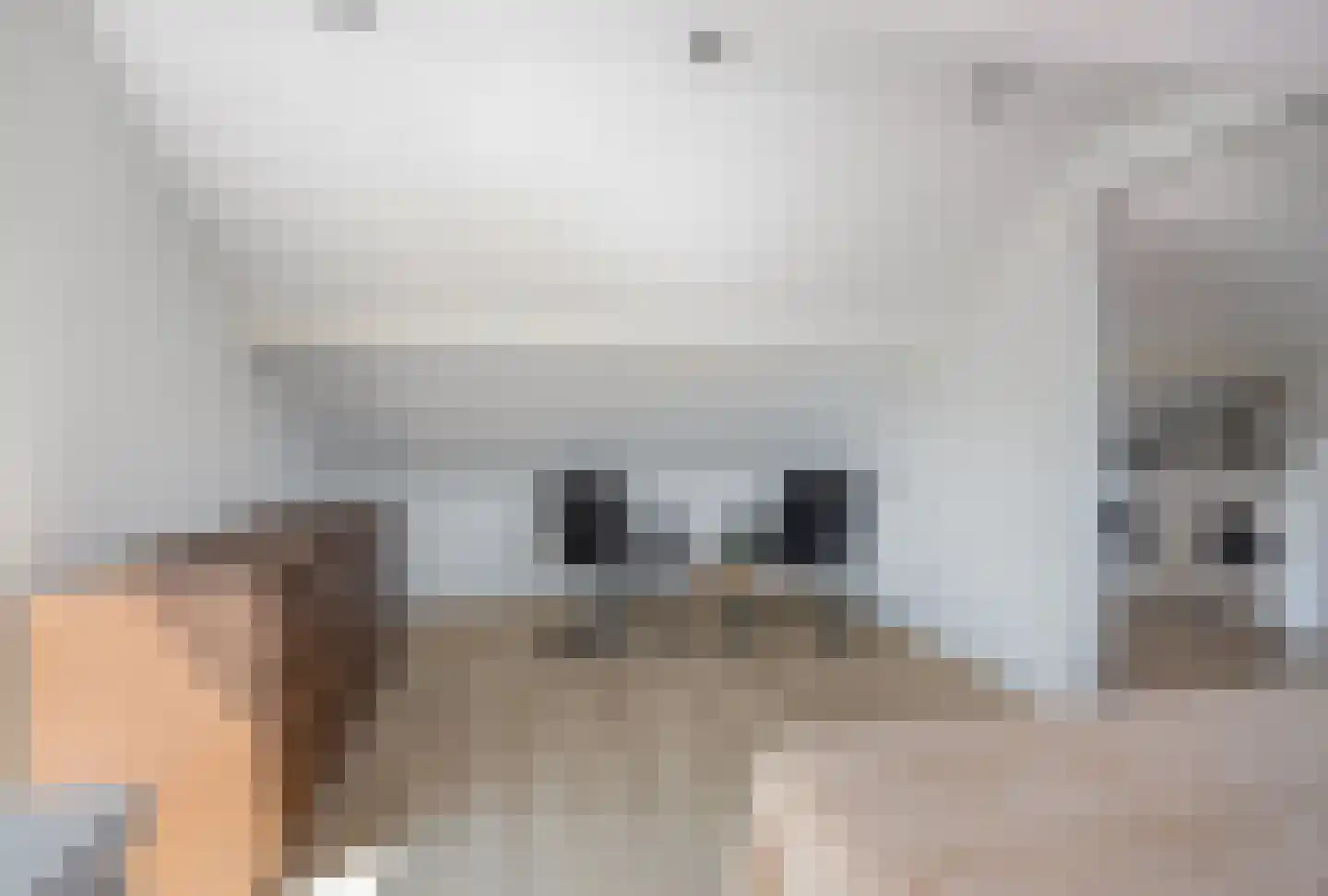 Hamiltonstraat 2 Etten-Leur thumbnail 31
