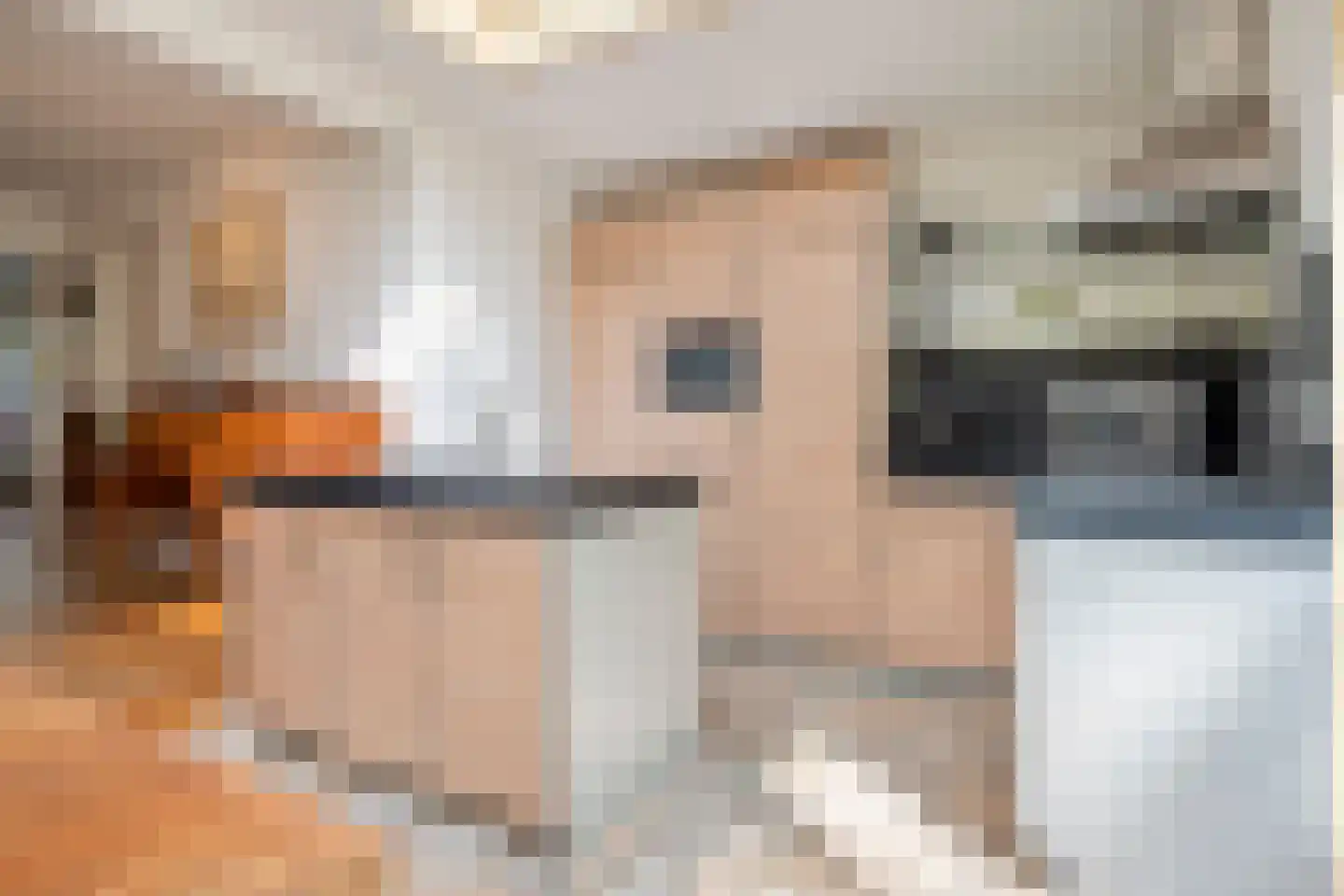 Hammarskjoeldlaan 4 Doorwerth thumbnail 14
