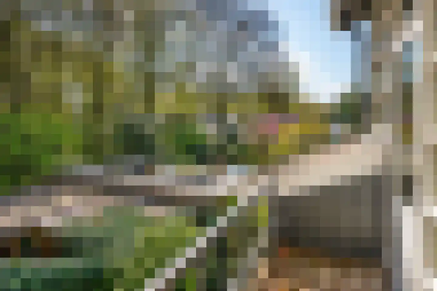 Hammarskjoeldlaan 4 Doorwerth thumbnail 29