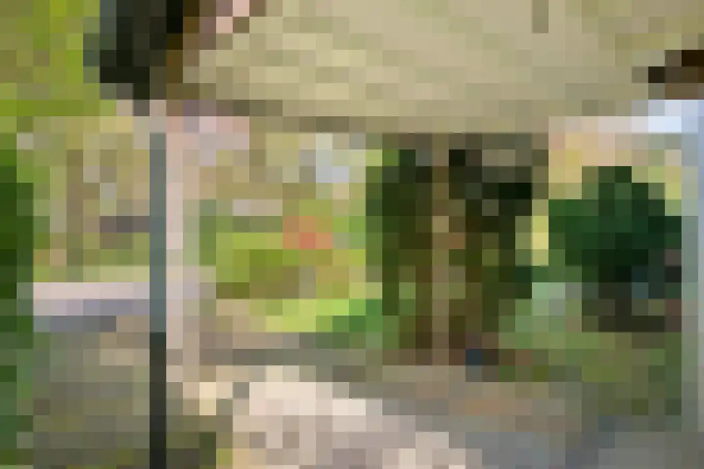 Hammarskjoeldlaan 4 Doorwerth foto 3