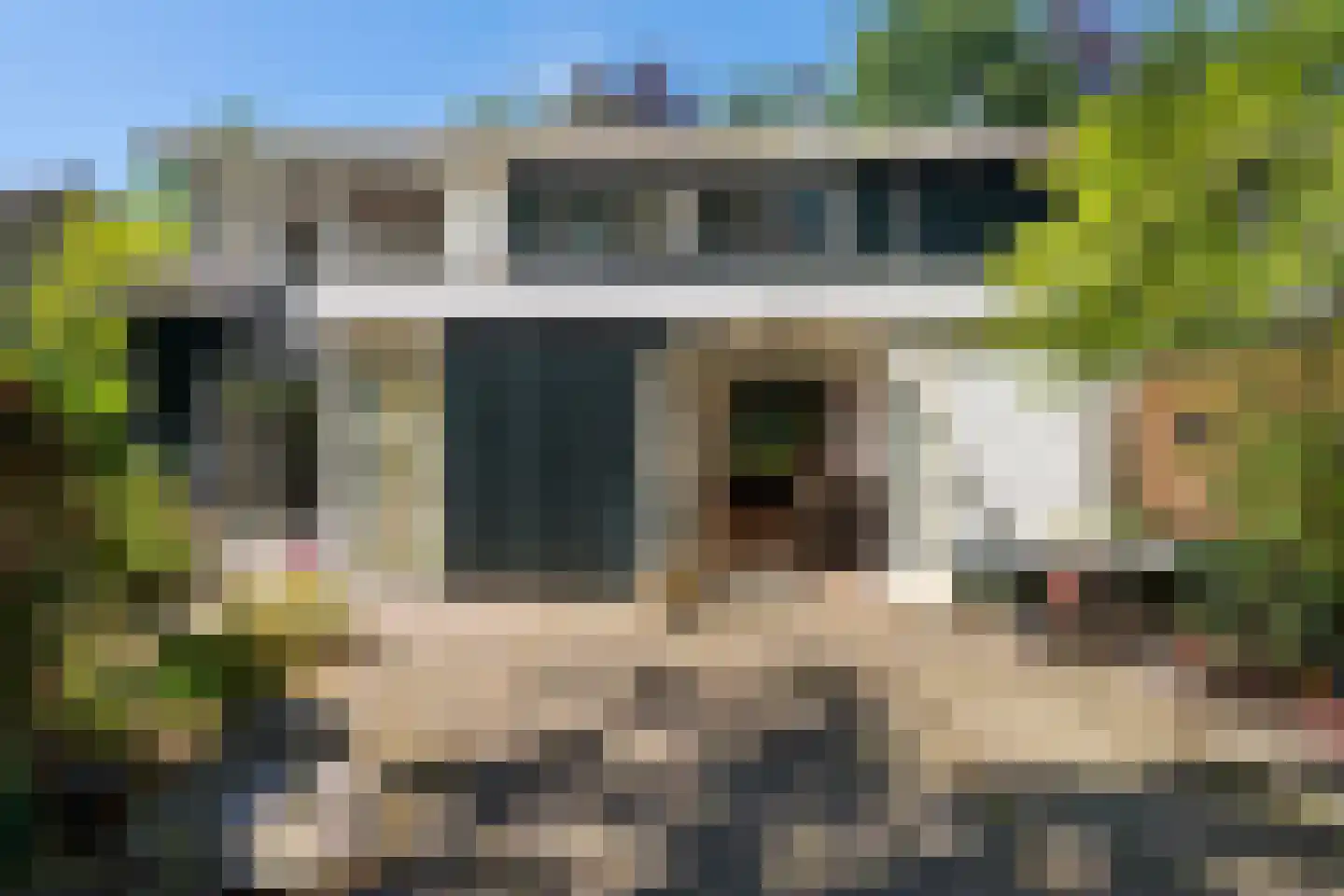 Hammarskjoeldlaan 4 Doorwerth foto 3