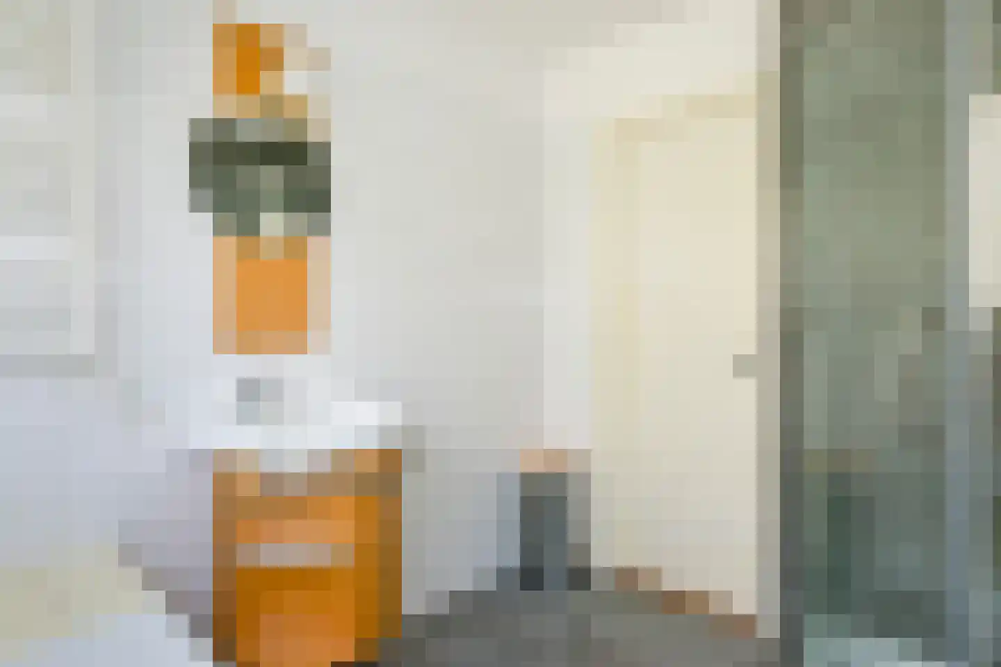 Hammarskjoeldlaan 4 Doorwerth thumbnail 43