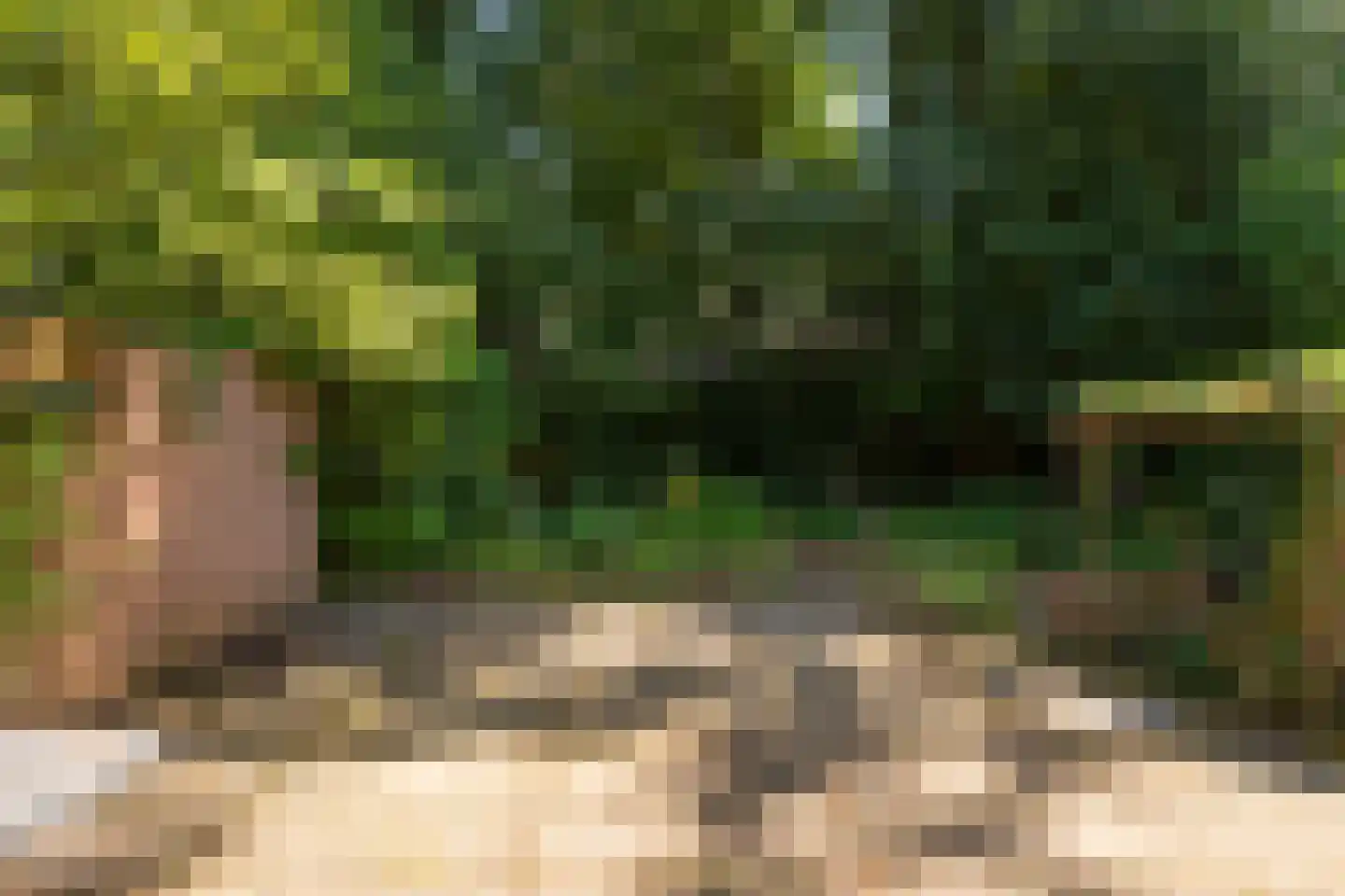 Hammarskjoeldlaan 4 Doorwerth thumbnail 48