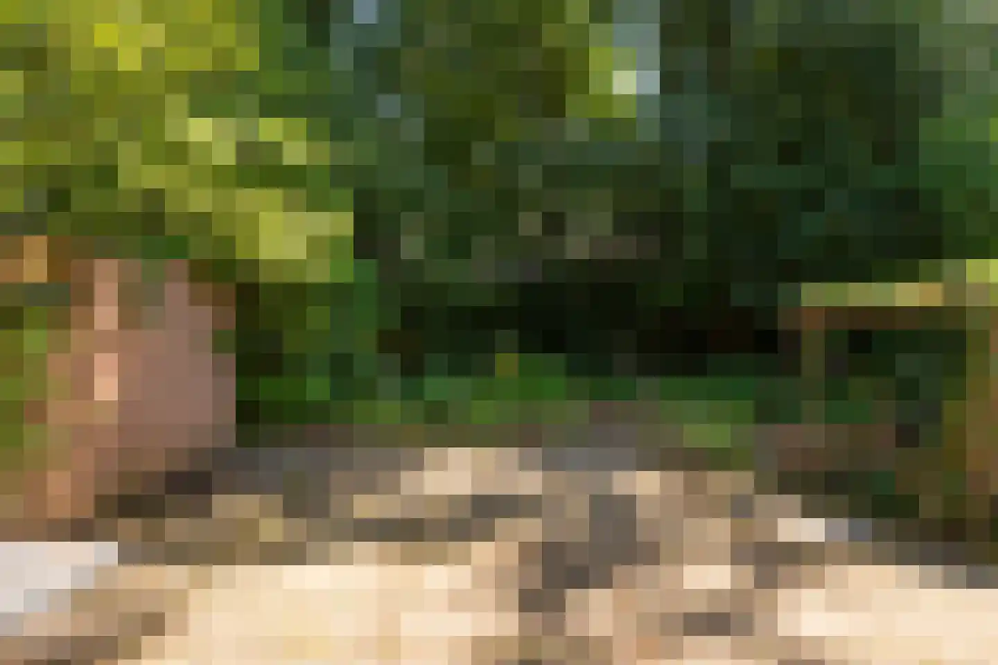 Hammarskjoeldlaan 4 Doorwerth thumbnail 49