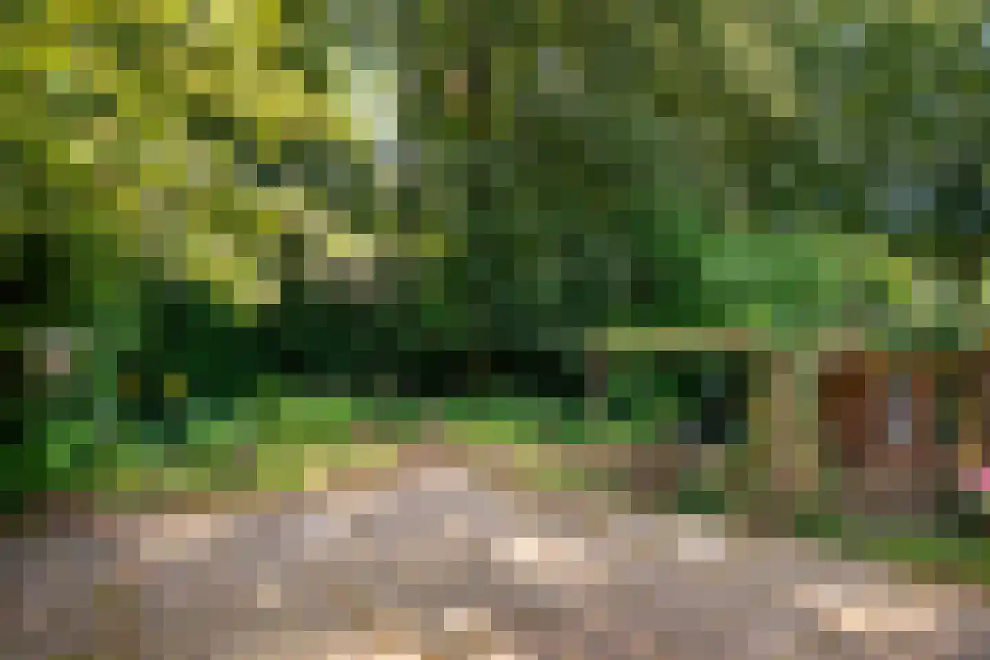 Hammarskjoeldlaan 4 Doorwerth thumbnail 50