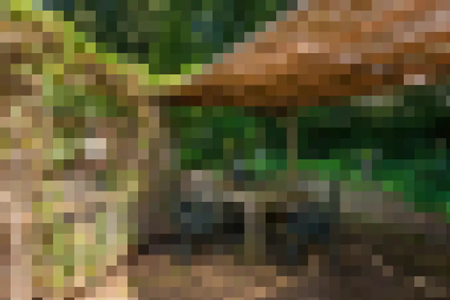 Hammarskjoeldlaan 4 Doorwerth thumbnail 51