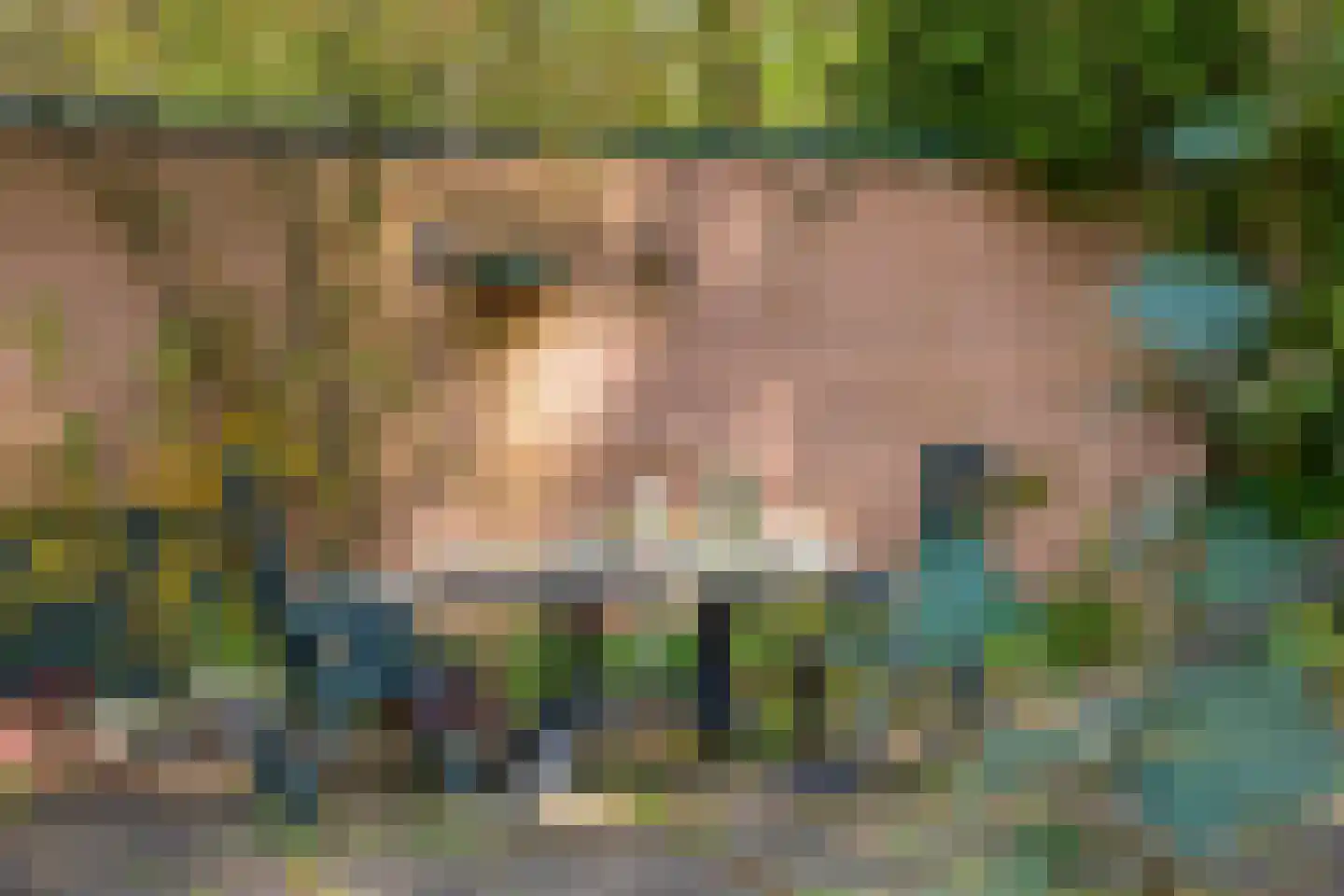Hammarskjoeldlaan 4 Doorwerth thumbnail 54