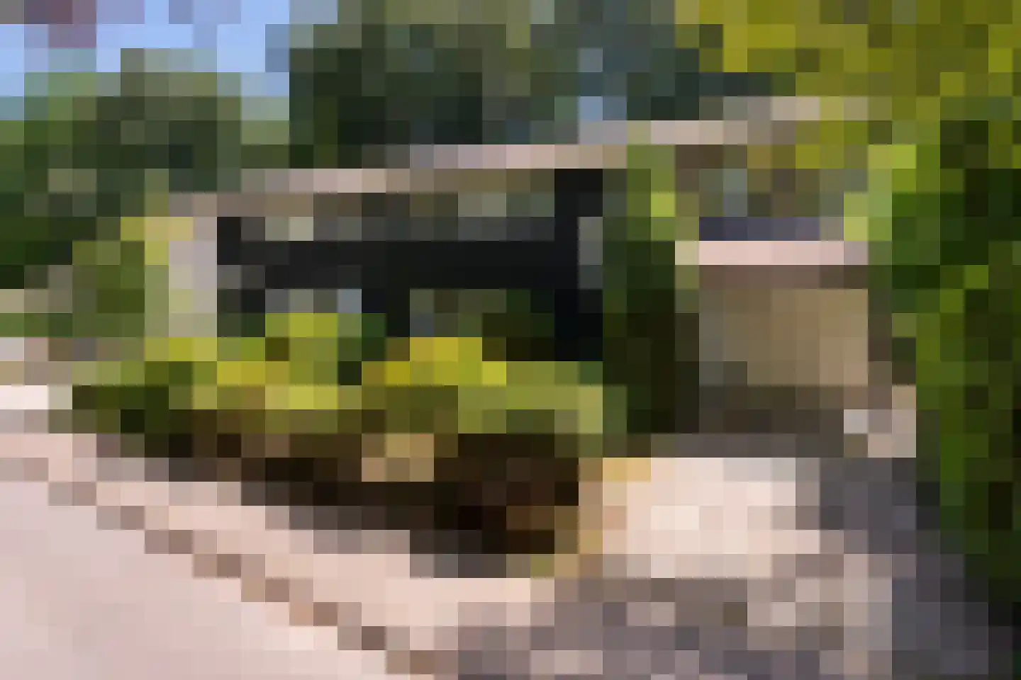Hammarskjoeldlaan 4 Doorwerth thumbnail 55