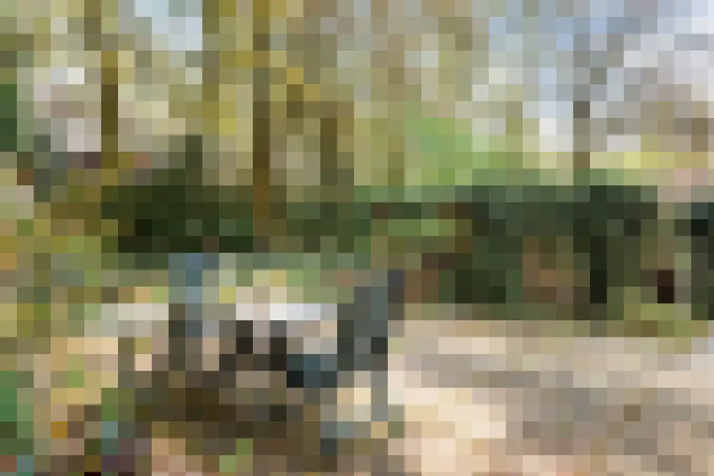 Hammarskjoeldlaan 4 Doorwerth thumbnail 55