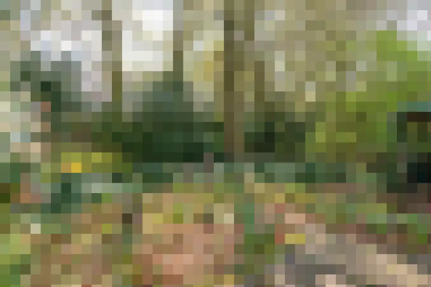 Hammarskjoeldlaan 4 Doorwerth thumbnail 56