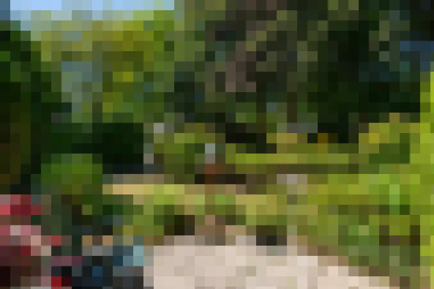 Hammarskjoeldlaan 4 Doorwerth thumbnail 58