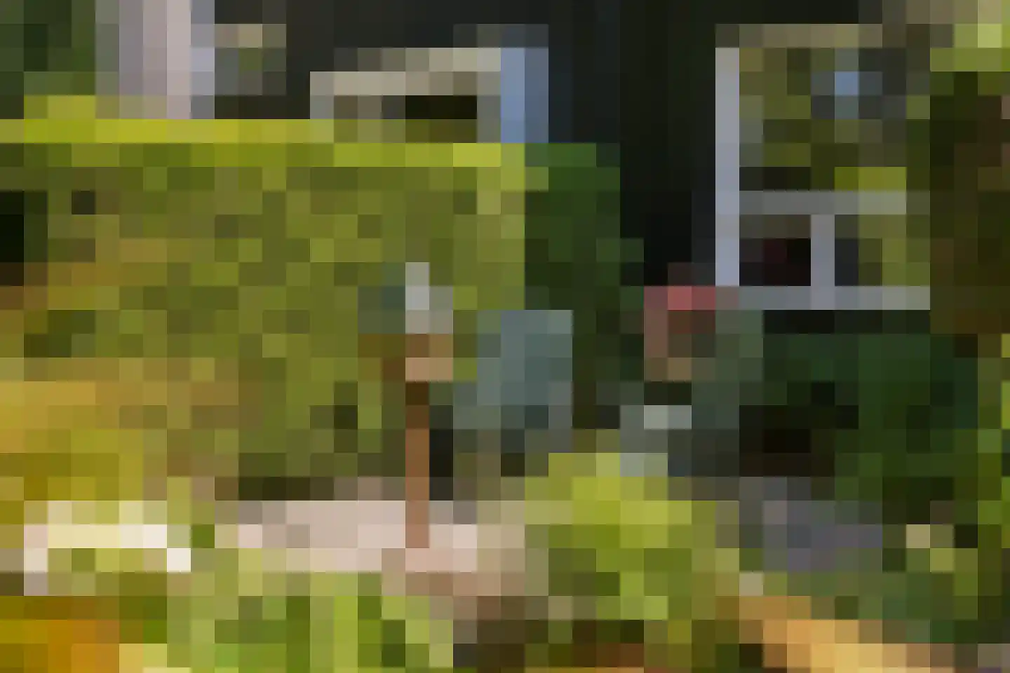 Hammarskjoeldlaan 4 Doorwerth thumbnail 59
