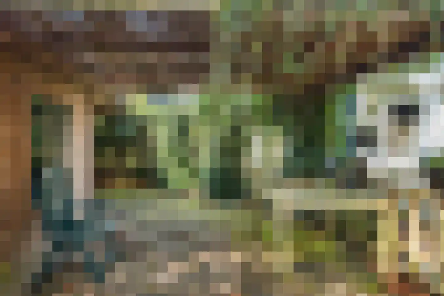 Hammarskjoeldlaan 4 Doorwerth thumbnail 59