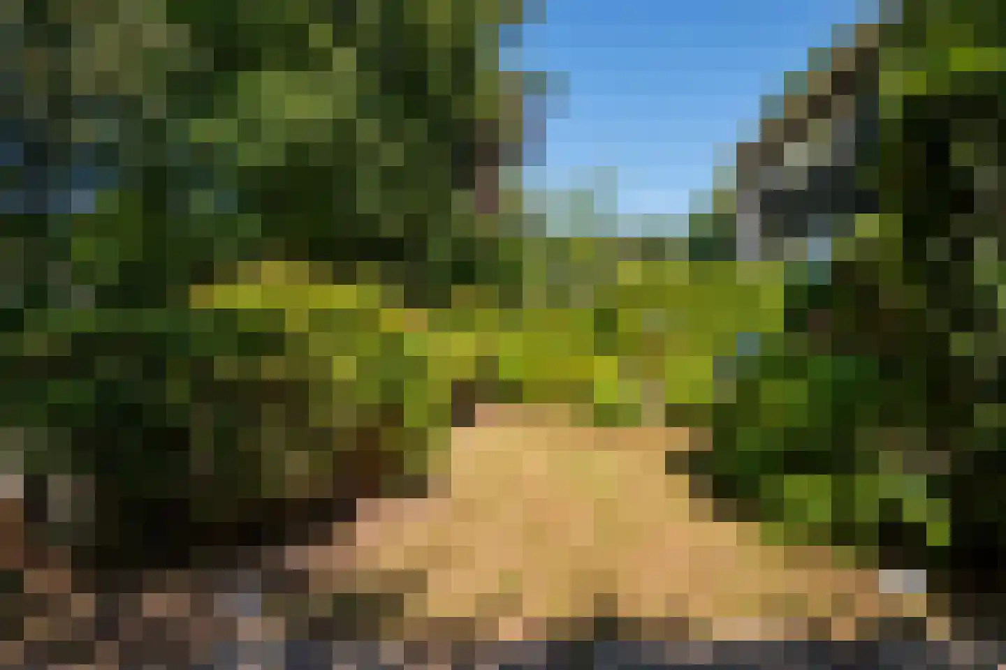 Hammarskjoeldlaan 4 Doorwerth thumbnail 60