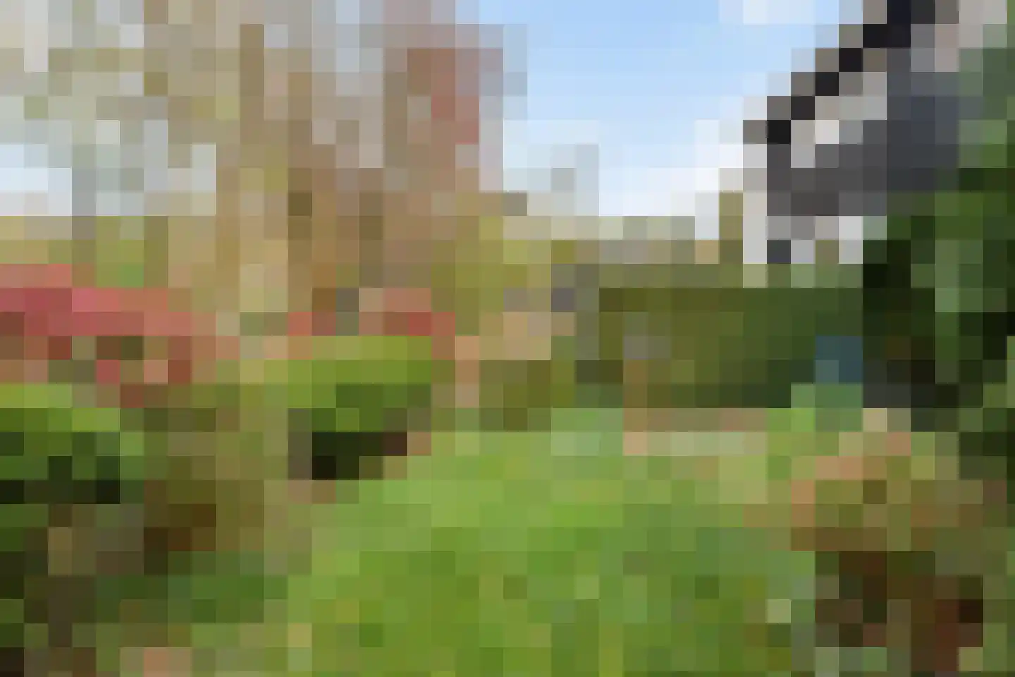 Hammarskjoeldlaan 4 Doorwerth thumbnail 68