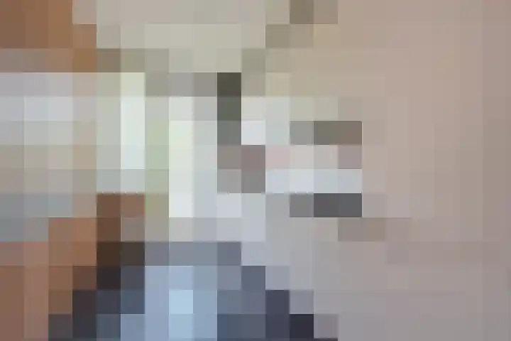 Hammarskjöldlaan 151 Rijswijk thumbnail 17