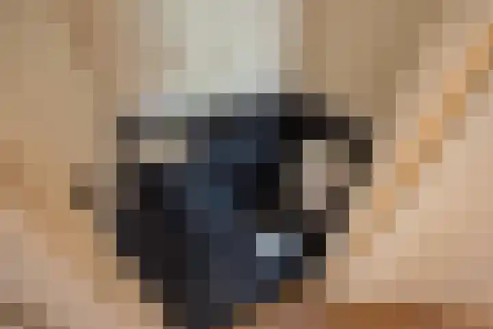 Hammarskjöldlaan 151 Rijswijk thumbnail 18