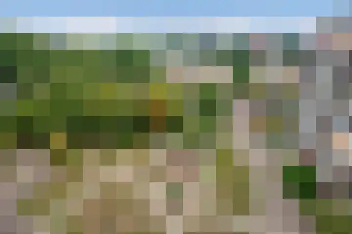 Hammarskjöldlaan 151 Rijswijk thumbnail 26