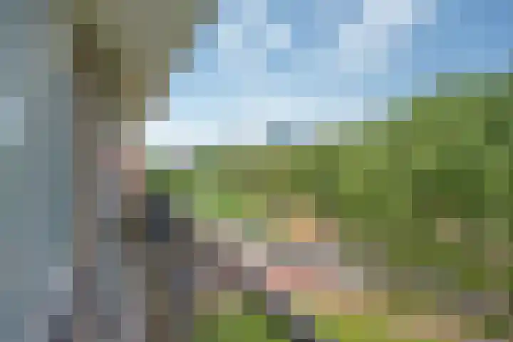Hammarskjöldlaan 151 Rijswijk thumbnail 29