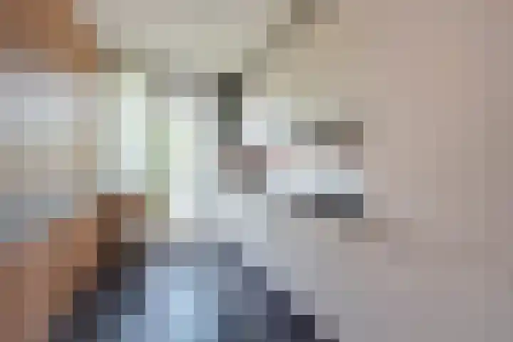 Hammarskjöldlaan 151 Rijswijk thumbnail 4