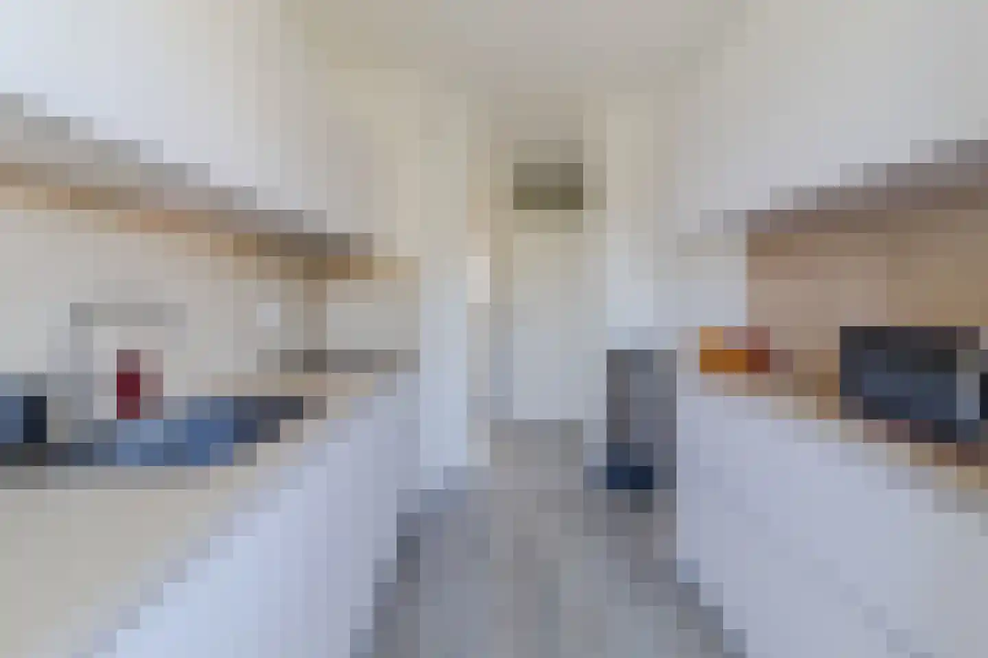 Hammarskjöldlaan 163 Rijswijk thumbnail 21