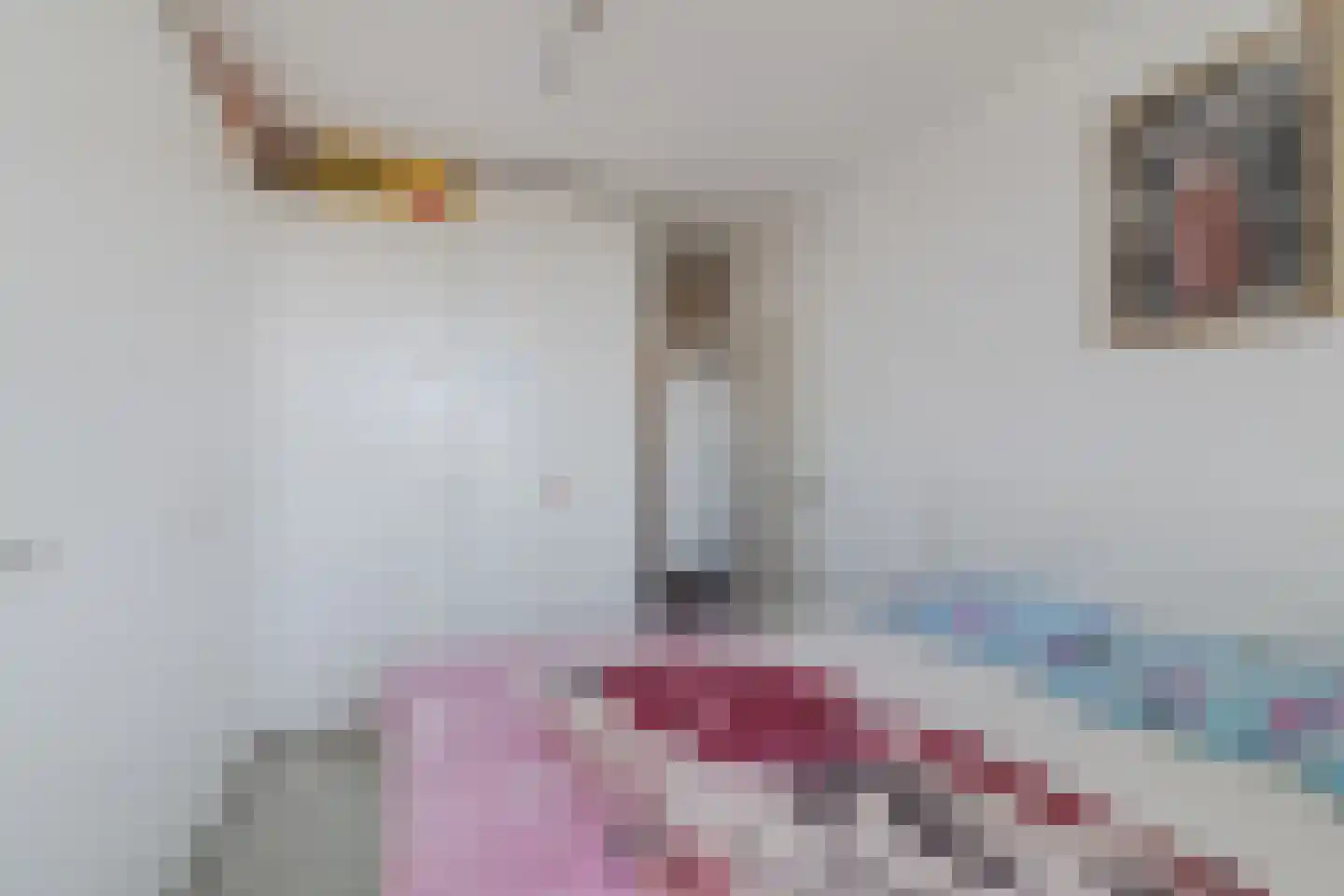 Hammarskjöldlaan 163 Rijswijk thumbnail 24