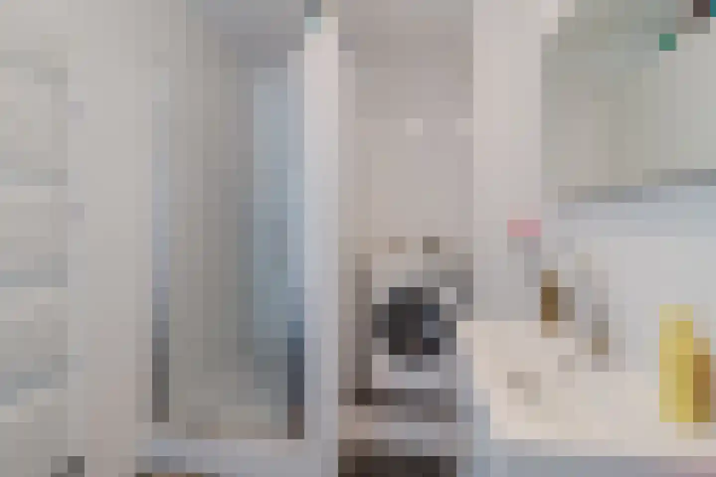 Hammarskjöldlaan 163 Rijswijk thumbnail 27