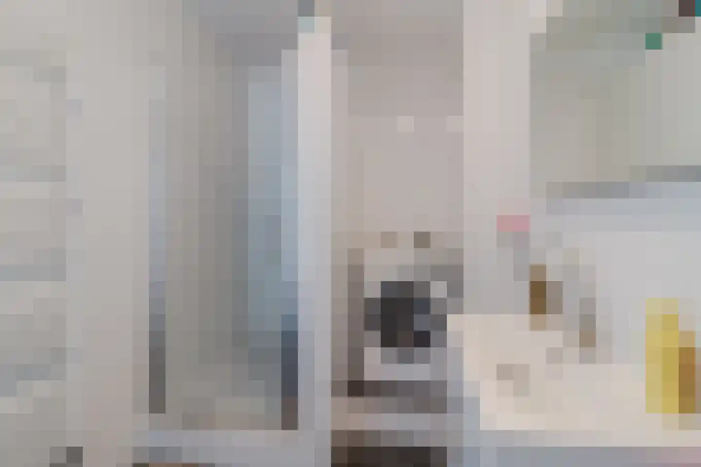 Hammarskjöldlaan 163 Rijswijk thumbnail 27