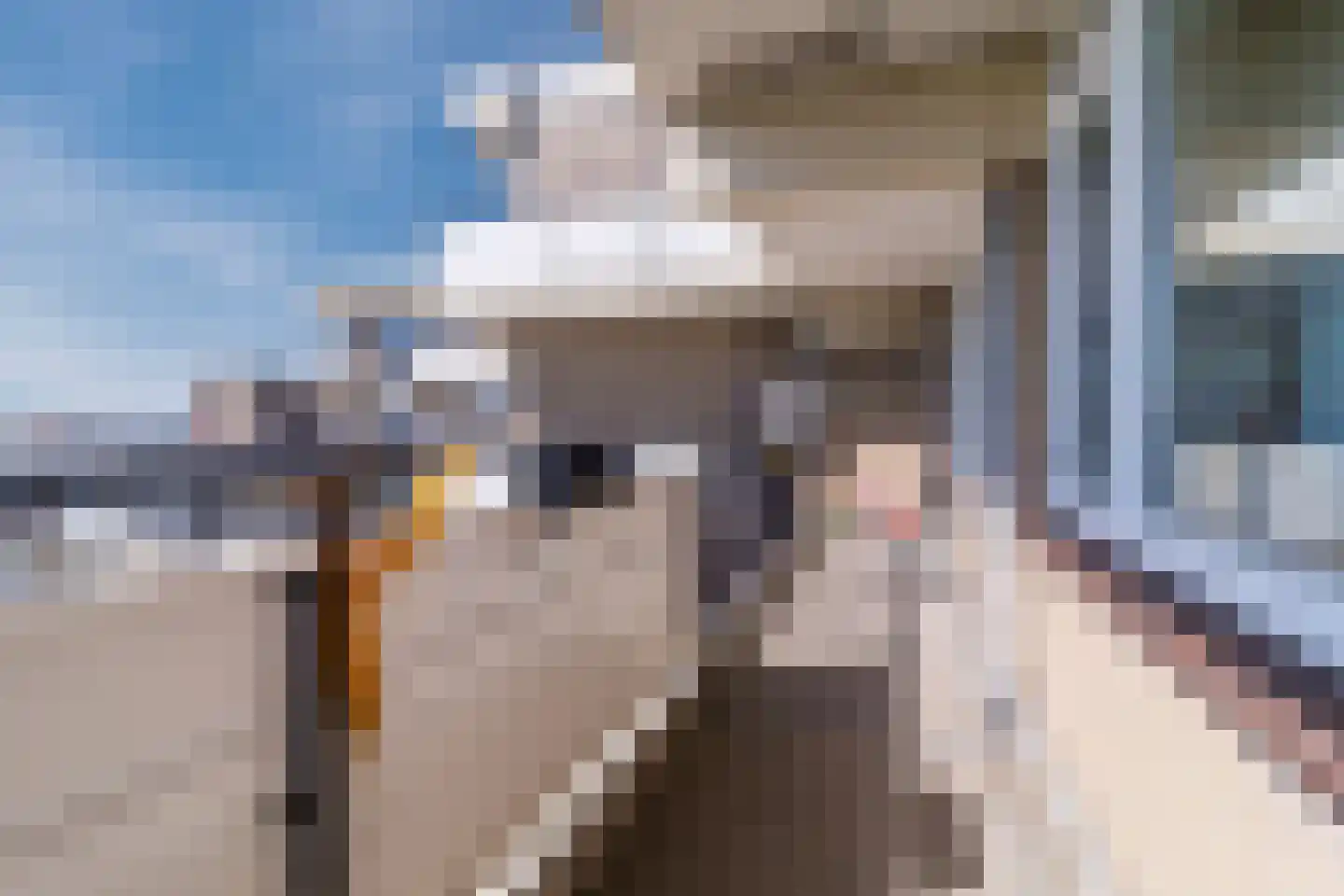 Hammarskjöldlaan 163 Rijswijk thumbnail 34