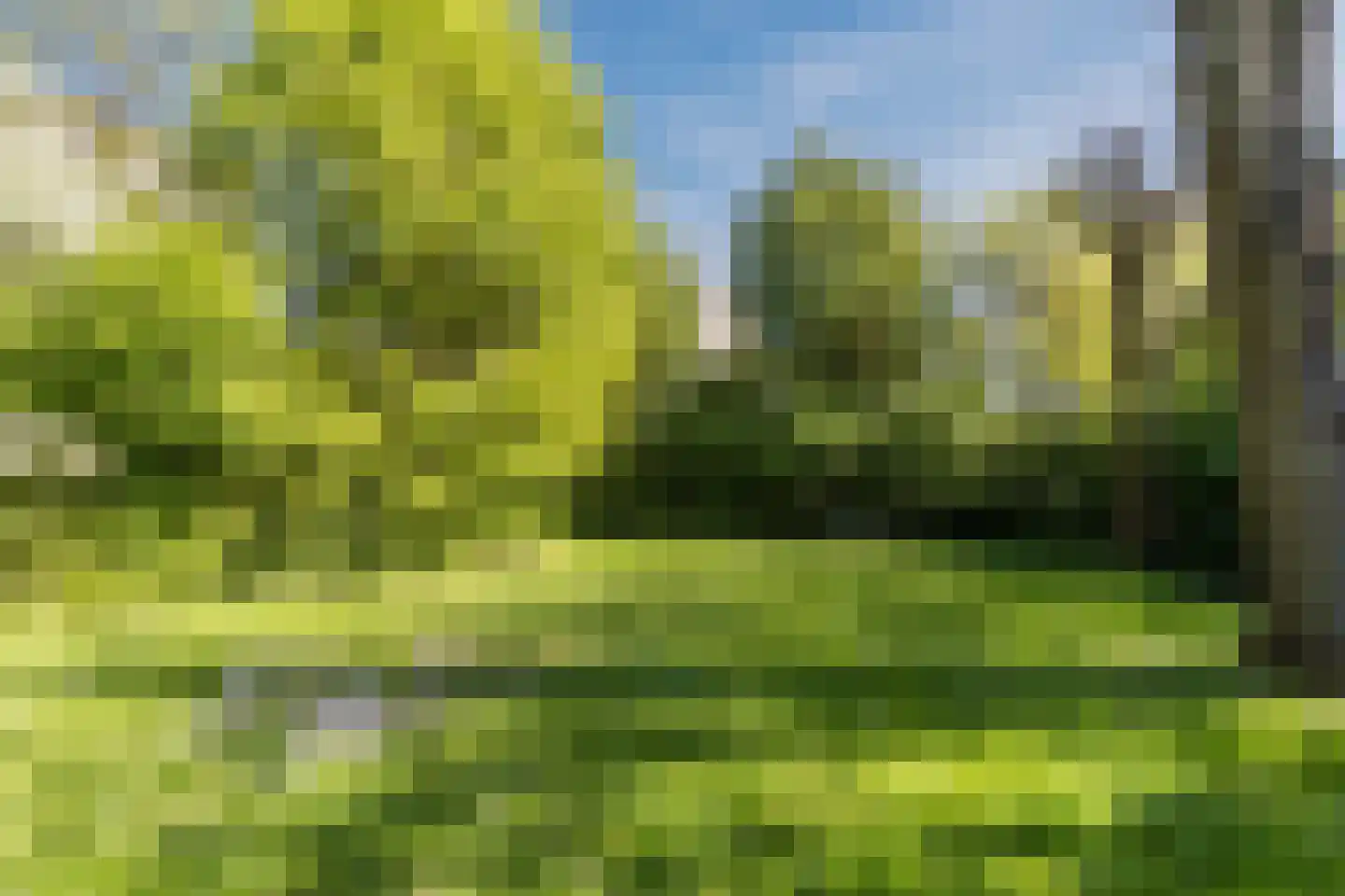Hammarskjöldlaan 163 Rijswijk thumbnail 42