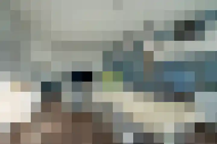 Hammarskjöldlaan 179 Rijswijk thumbnail 6