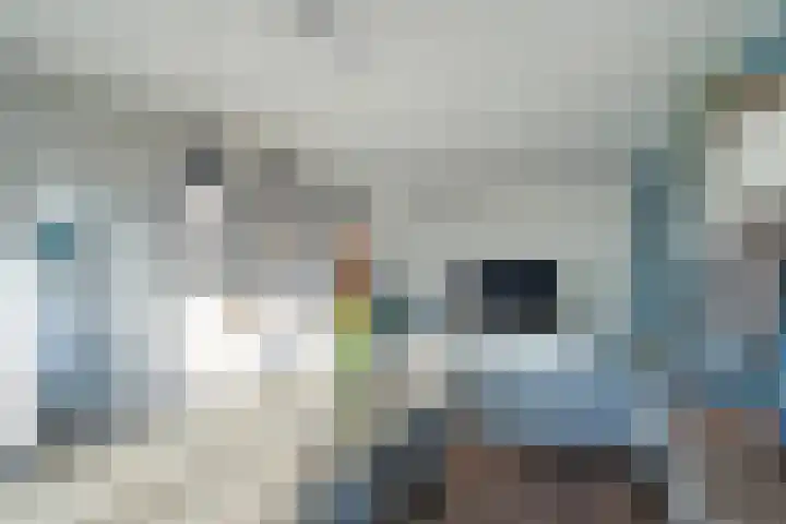 Hammarskjöldlaan 179 Rijswijk thumbnail 7