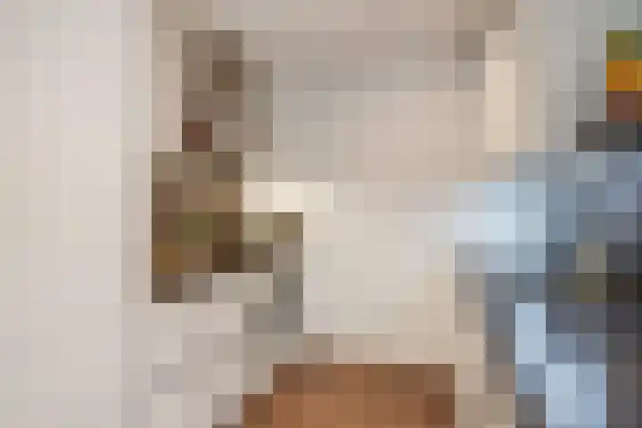 Hammarskjöldlaan 179 Rijswijk thumbnail 8