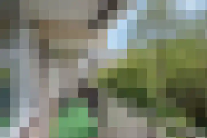 Hammarskjöldlaan 181 Rijswijk thumbnail 17