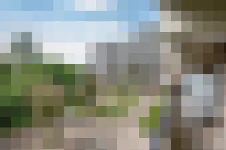 Hammarskjöldlaan 181 Rijswijk thumbnail 19