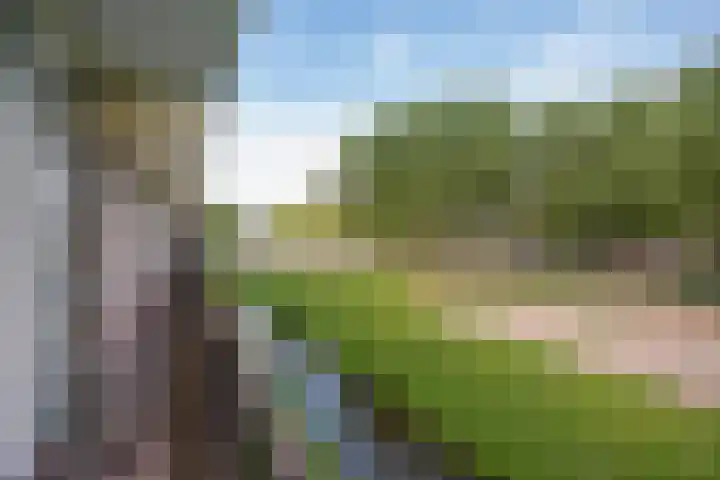 Hammarskjöldlaan 181 Rijswijk thumbnail 20