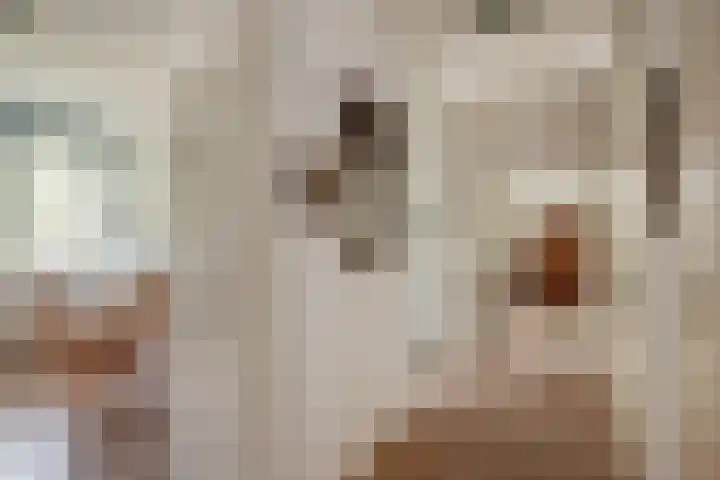 Hammarskjöldlaan 181 Rijswijk thumbnail 7