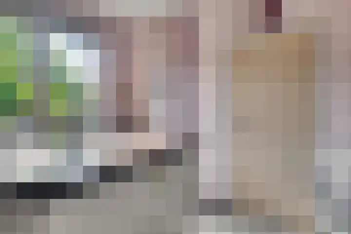 Hammarskjöldlaan 19 Middelburg thumbnail 13