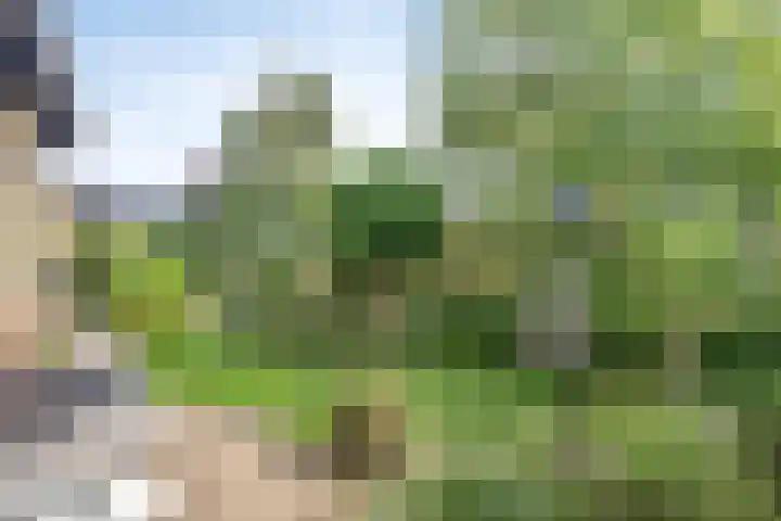 Hammarskjöldlaan 19 Middelburg thumbnail 26