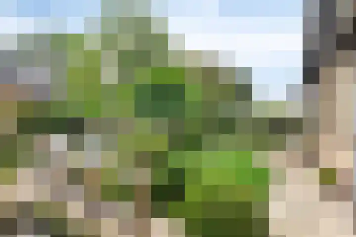 Hammarskjöldlaan 19 Middelburg thumbnail 28